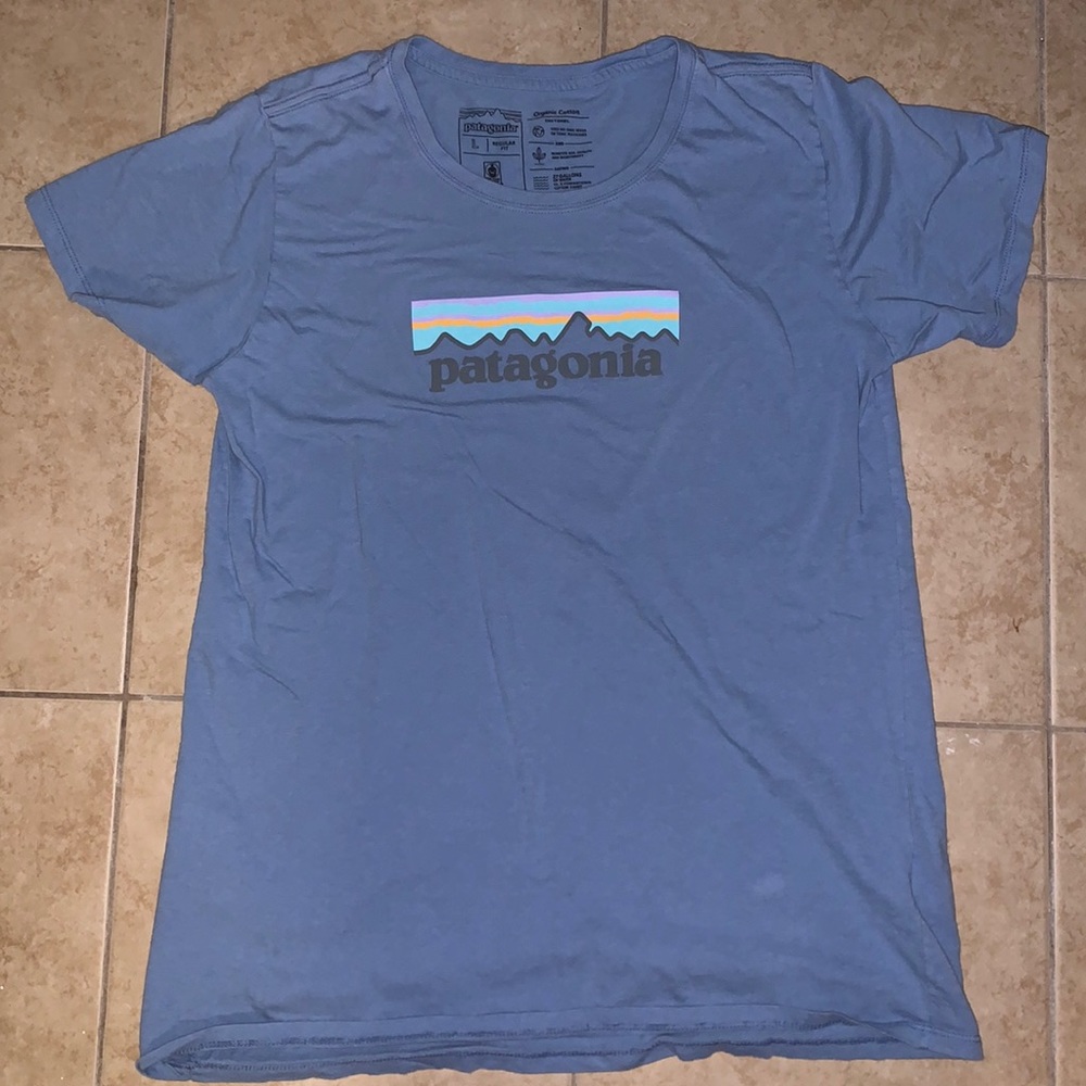 Patagonia tshirt